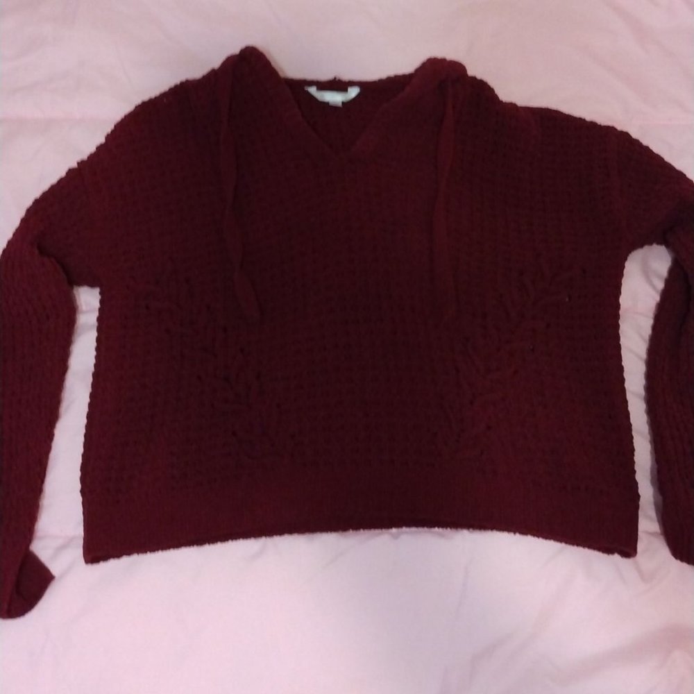 Red Cropped sweater